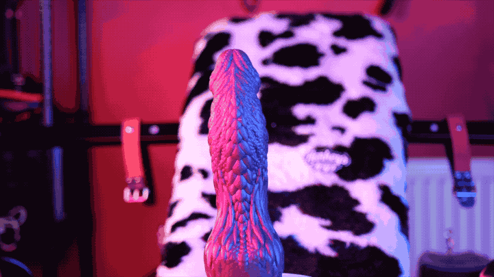 hankeys dragons and dildos rotation