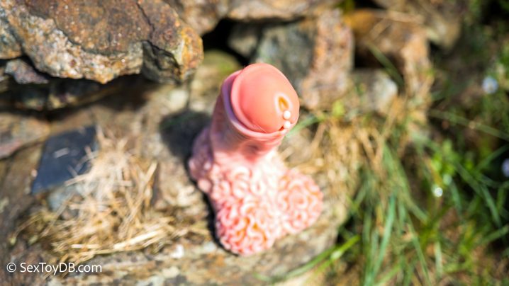 rockman nothosaur review tip piercing