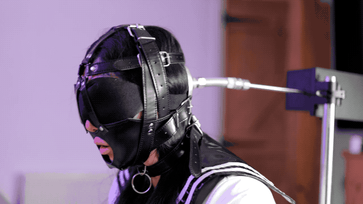 blowjob harness gag hismith